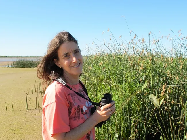 Biologist Martha Weiss of Georgetown University studies Lepidopteran learning and memory.