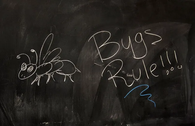 This was scrawled on a Briggs Hall blackboard during an annual UC Davis Picnic Day. (Photo by Kathy Keatley Garvey)