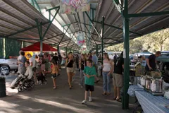 Davis Farmer's Market in Central Park