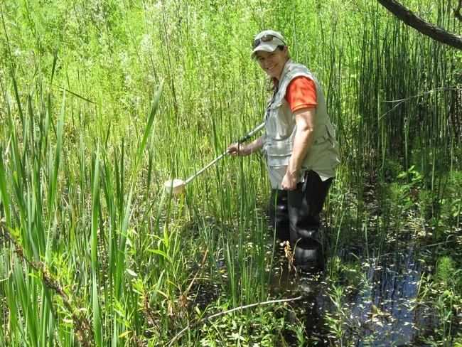 Jamesina Scott at work. (Photo by Dave Woodward)