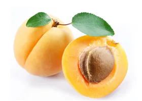 Apricot