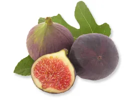 Fig
