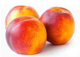 Nectarine