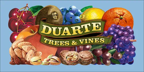 Duarte Trees and Vines