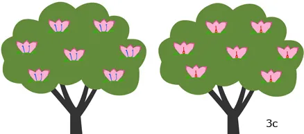 Figure 3c. A dioecious species with female and male flowers on separate individuals.