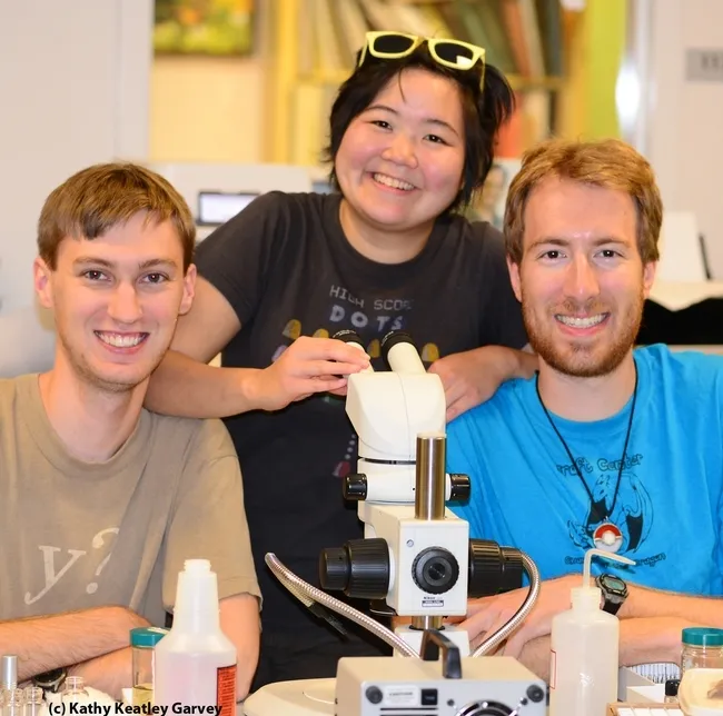 They did it! From left are Andrew Richards, Ivana Li and Matan Shelomi. (Photo by Kathy Keatley Garvey)