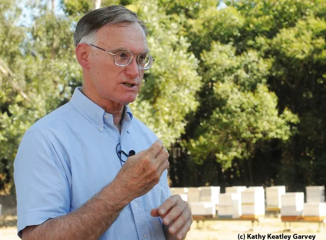 Extension apiculturist Eric Mussen of the UC Davis Department of Entomology spends much of his day talking about bees. (Photo by Kathy Keatley Garvey)
