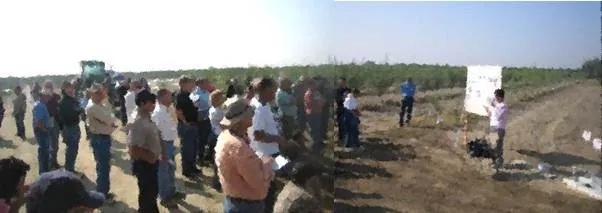 soil fumigation extension Hanson UCD