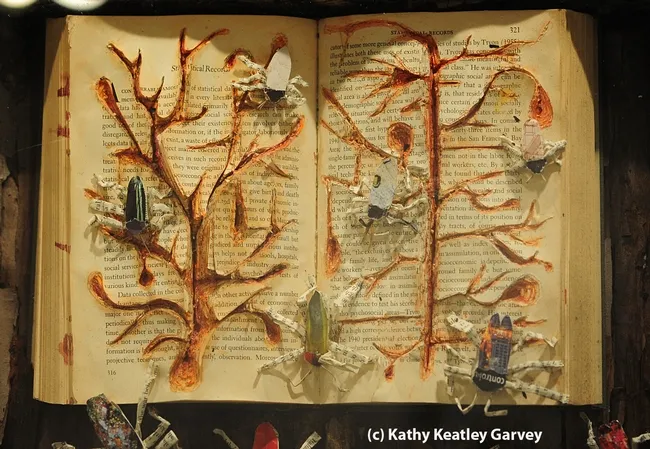 A close-up of Whitney Krupp's art work: beetles boring into pictographs. (Photo by Kathy Keatley Garvey)