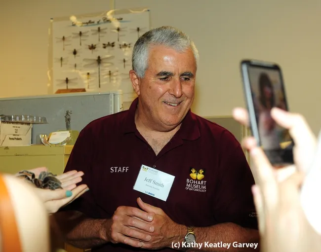 Entomologist Jeff Smith, associate at the Bohart Museum of Entomology, UC Davis, talks about a rose-haired tarantula at a Bohart open house. (Photo by Kathy Keatley Garvey)