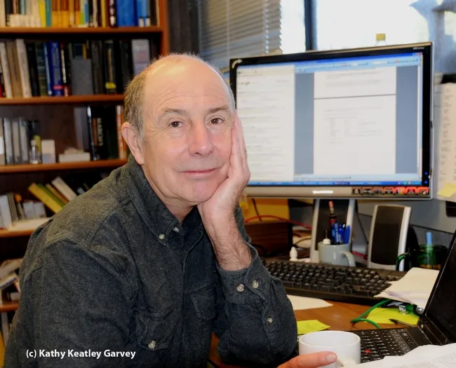 Bruce Hammock in his habitat. (Photo by Kathy Keatley Garvey)