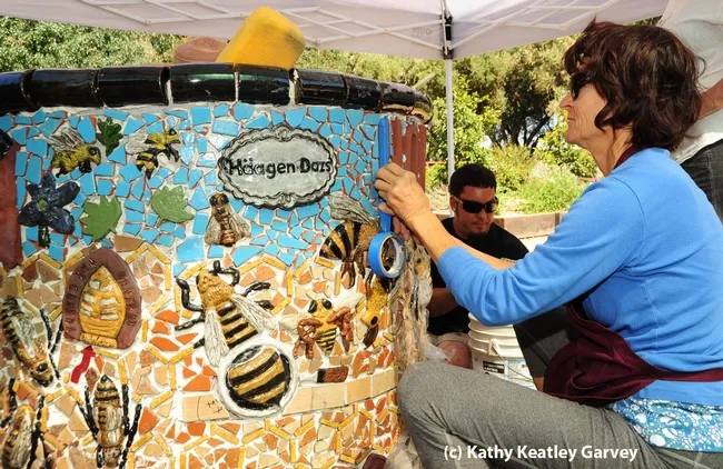 Self-described "rock artist" Donna Billick. (Photo by Kathy Keatley Garvey)