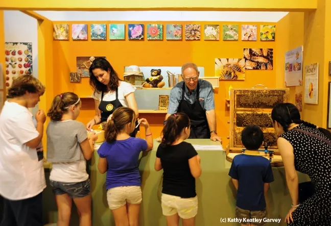 Beekeeper Doug Houck of the Sacramento Area Beekeepers' Association and his daugher, Rebekah Houck, at the beekeepers' booth in the Expo Center. (Photo by Kathy Keatley Garvey)