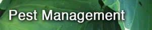 Pest Management