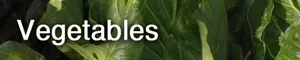 Vegetables