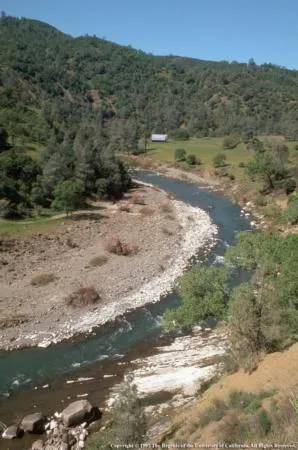 Creek and Oak Woodland - Repository
