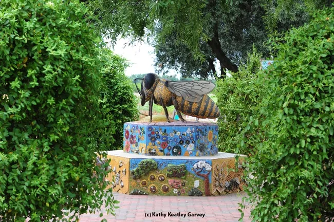This is Miss Bee Haven, art work by Donna Billick. (Photo by Kathy Keatley Garvey)