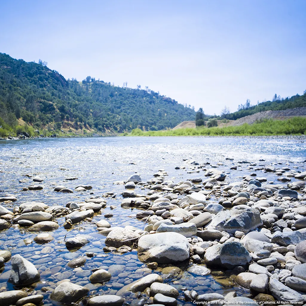 Image of the Yuba River and a closeup of cobble found in fall run Chinook salmon spawning beds