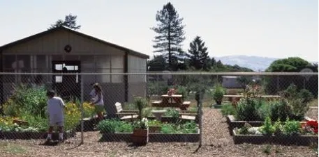 schoolgarden2