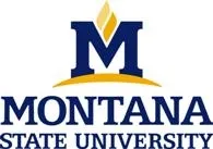 msu-logo