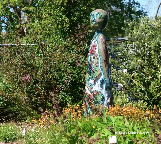 Mother Earth, a mosaic ceramic sculpture by Donna Billick of Davis, overlooks the UC Davis Arboretum Teaching Nursery. (Photo by Kathy Keatley Garvey)