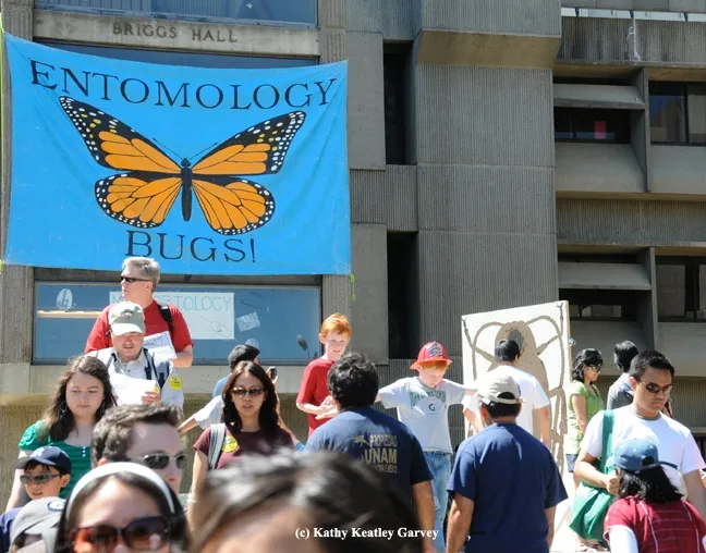 Briggs Hall beckons with bugs on UC Davis Picnic Day. (Photo by Kathy Keatley Garvey