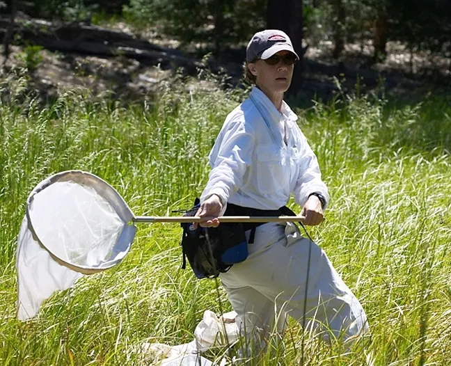 Fran Keller chasing dragonflies. (Photo by Alex Wild)