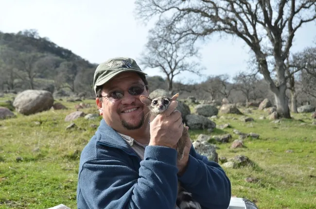 David Wyatt with a ringtail.