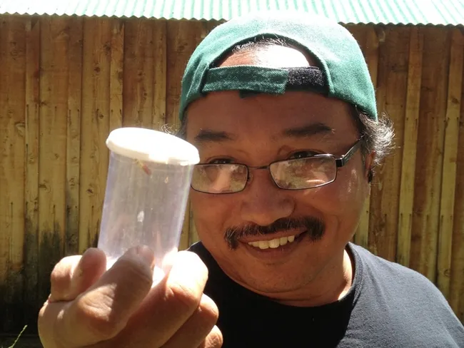 Entomologist Eddie Dunbar will lead an insect survey of Knowland Park.