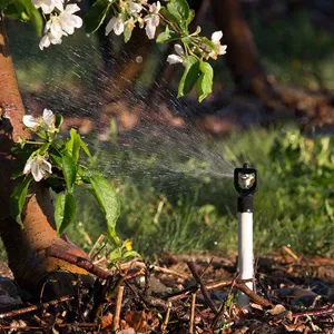 Irrigation Management