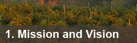 1: Mission And Vision