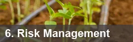 6: Risk Management