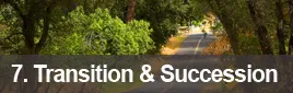 7: Transition & Succession