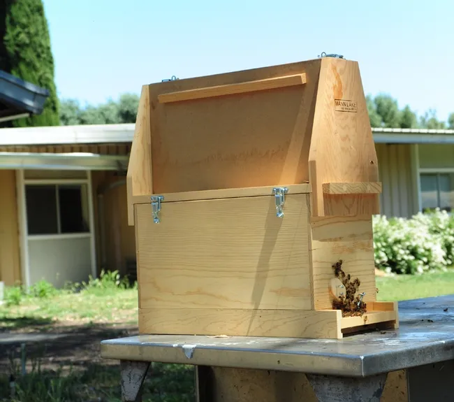 This bee observation hive, named "The Buzzingham Palace," will be on display Thursday through Sunday, May 7-10 at the Dixon May Fair. (Photo by Kathy Keatley Garvey)