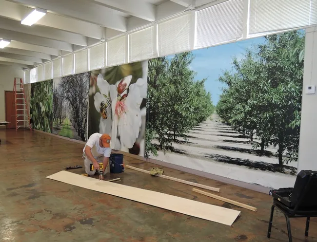 Chris Conklin works on the agricultural display in Madden Hall, Dixon May Fair. (Photo by Kathy Keatley Garvey)