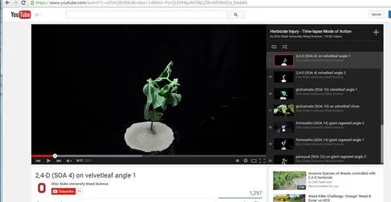 screen capture OSU Weed Sci herbicide vids