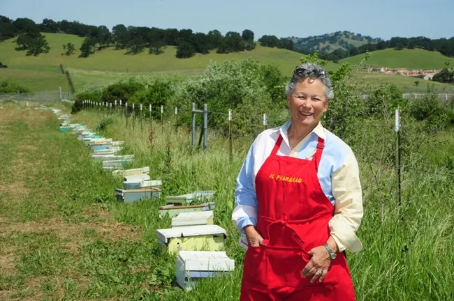 Ann Sievers stands by her bees, a new addition to IL Fiorello. This week is National Pollinator Week. (Photo by Kathy Keatley Garvey)