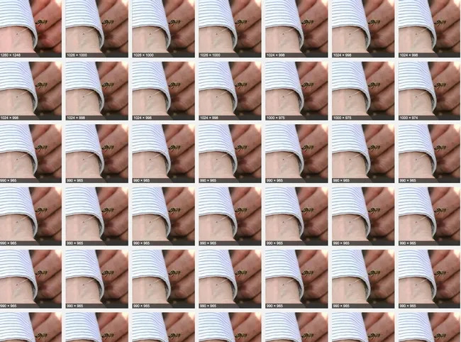 'The Sting' now has a life of its own and many are using it for their own commercial purposes: to profit from a photo that is not theirs.