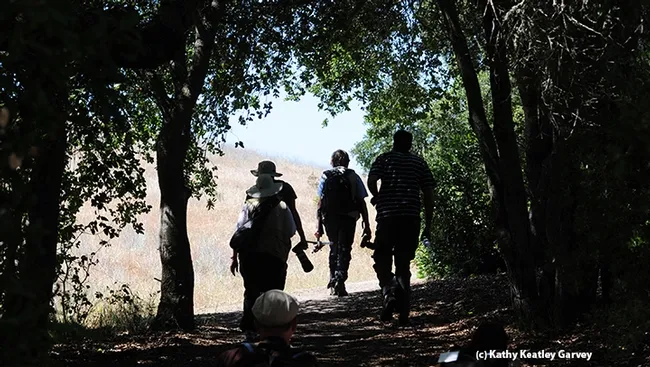 Off to photograph insects at BugShot Hastings. (Photo by Kathy Keatley Garvey)