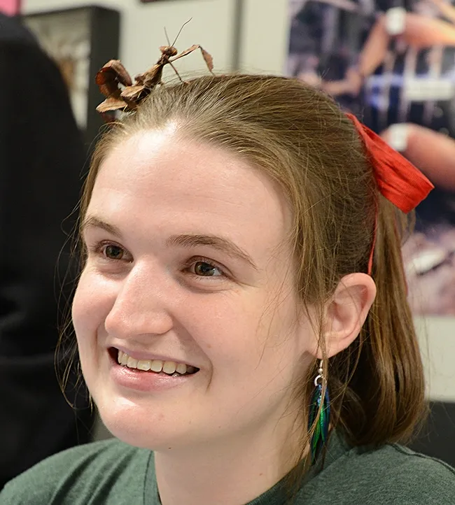Graduate student Charlotte Herbert, who is seeking her doctorate in entomology from UC Davis, has a visitor in her hair--a stick insect barrette. (Photo by Kathy Keatley Garvey)