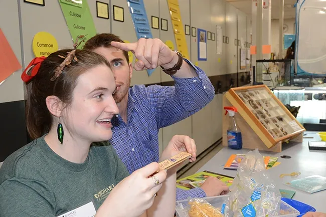 George Alberts of Los Angeles points to a "barrette" in the hair of his friend, UC Davis entomology graduate student and Bohart volunteer Charlotte Herbert. (Photo by Kathy Keatley Garvey)