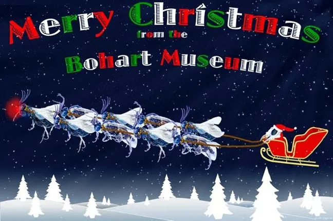 Santa driving his sleigh of reindeer, insect-style. (Image by Wade Spencer)