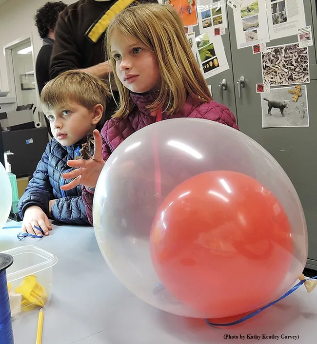 Wide-eyed Ethan Fry, 5, and his sister Adi Fry, 7, of Davis, listen to graduate student Charlotte Herbert at the "parasitoid" balloon station at the Bohart Museum of Entomology. (Photo by Kathy Keatley Garvey)