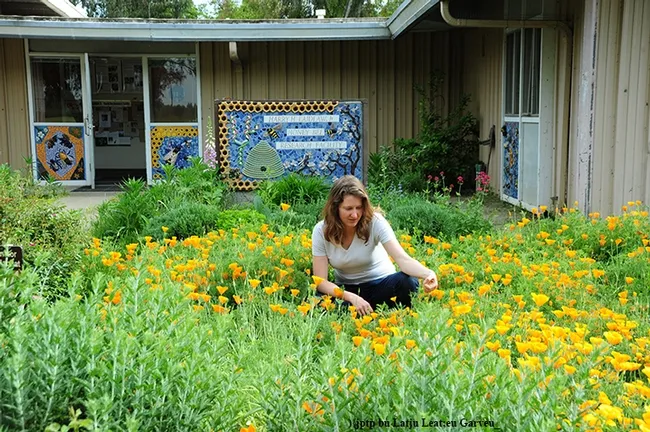 Elizabeth "Liz" Frost in the pollinator garden she installed at the Harry H. Laidlaw Jr. Honey Bee Research Facility, UC Davis. (Photo by Kathy Keatley Garvey)