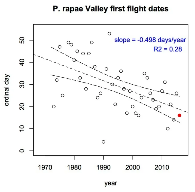 Matt Forister's graph of the first flights of the cabbage white butterfly, Pieris rapae. His graph shows that Jacob Montgomery's find was spot on.