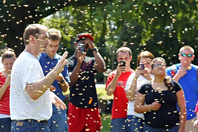 Bees buzz around David Tarpy (far left) and his students. (Photo courtesy of David Tarpy)