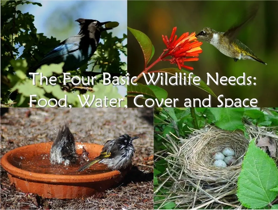 Swain 2016 Mar Sustainability1 Photo