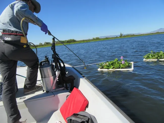 Preparing to make an application