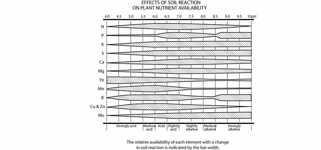 pH Effects on Plants