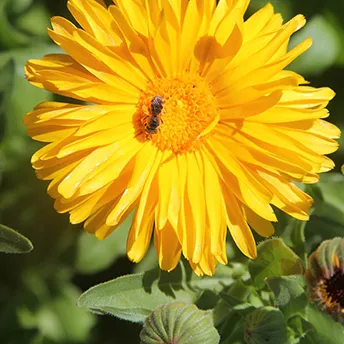 Photographer: Rodney Kline